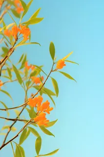 清新简约绿叶小花背景 清新简约绿叶小花背景