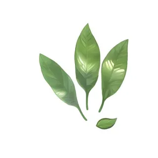 叶子绿叶树叶免抠