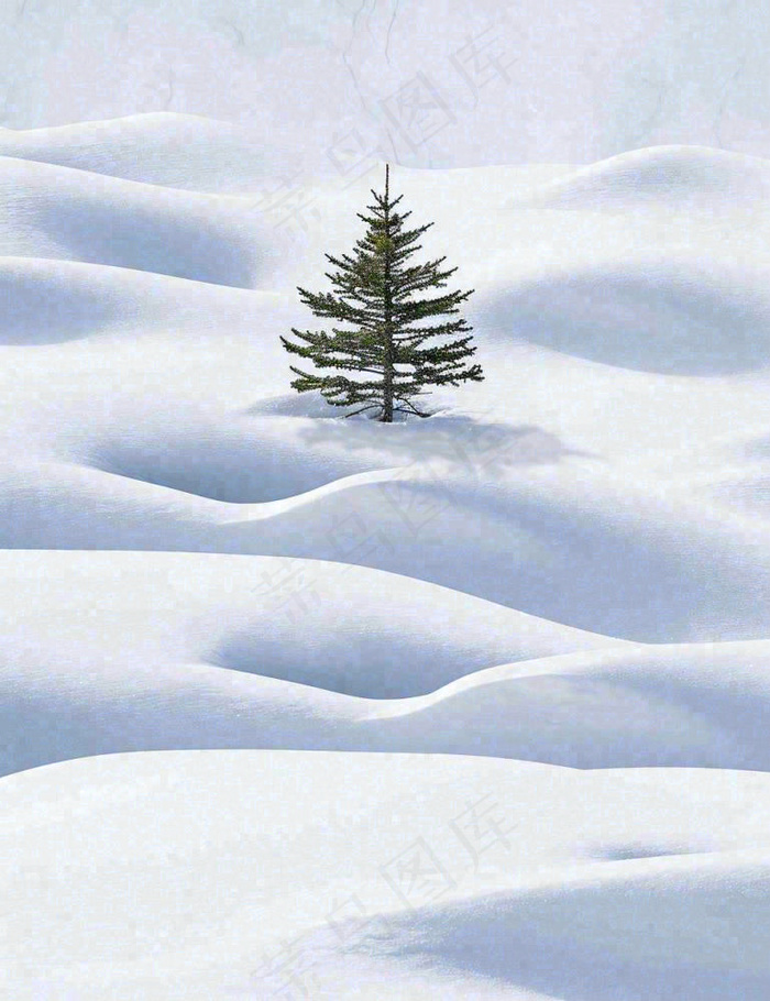 冬天意境简约松树雪地，立冬冬至小雪大雪小寒大寒(960x1248)