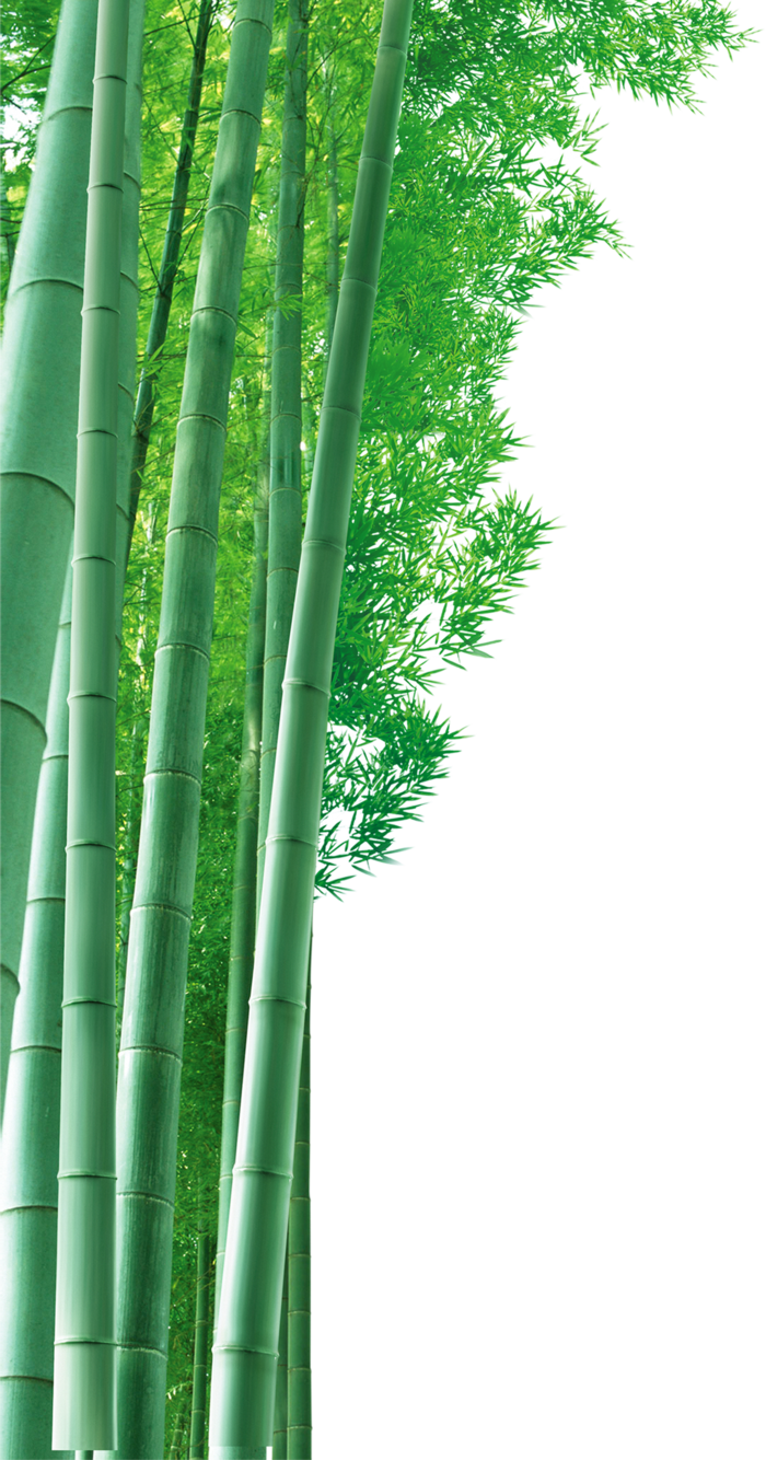 竹子水墨画中国风国画墨水书法竹子画