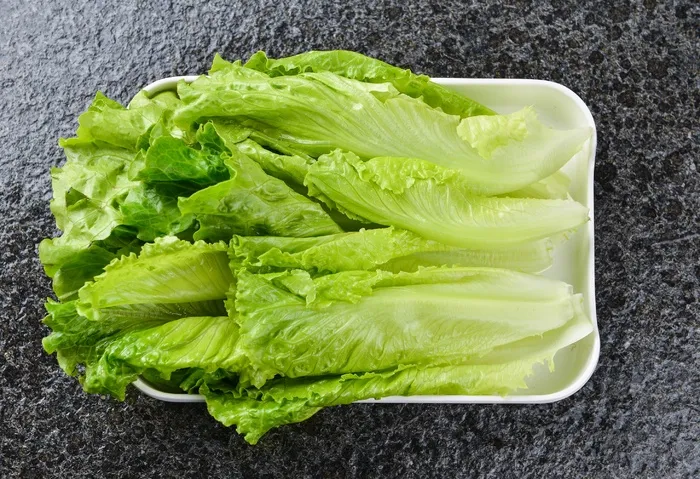 火锅菜品配菜生菜青菜