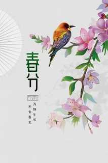 春分节气海报7