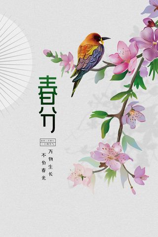 春分节气海报7