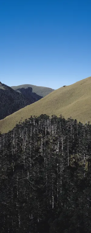 J147-67-大幅风景125