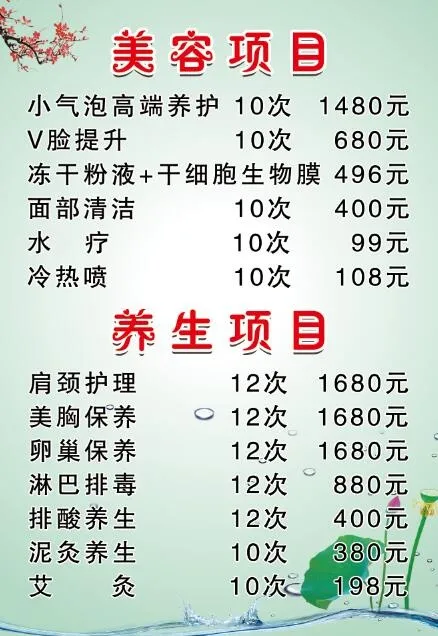 美容项目 美容价格表psd模版下载
