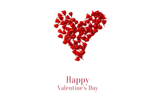 情人节花朵爱心