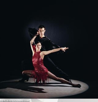 舞蹈动作-跳国标拉丁双人舞的外国组合在摆poss