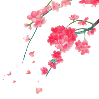 春天浪漫粉红色樱花手绘樱花梅花桃花花朵图片PNG免扣素材