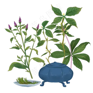 手绘草本中药药材