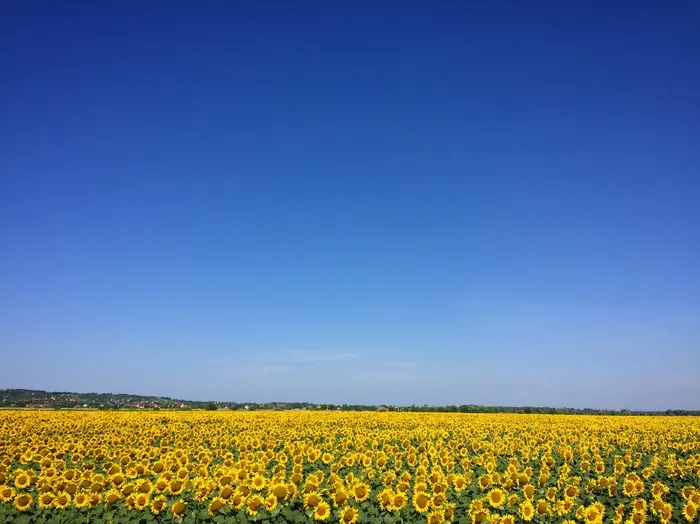 国内外优秀摄影作品展示自然风景篇-544554