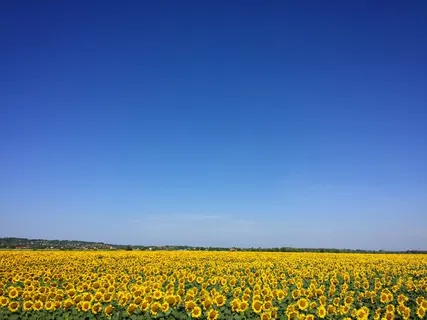 国内外优秀摄影作品展示自然风景篇-544554