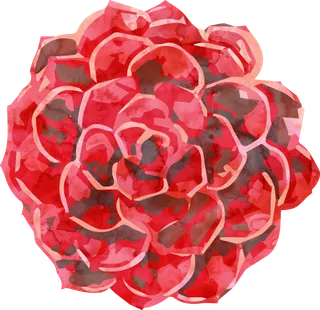 鲜花玫瑰免扣素材