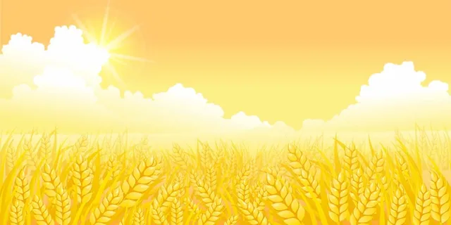 金色麦田背景