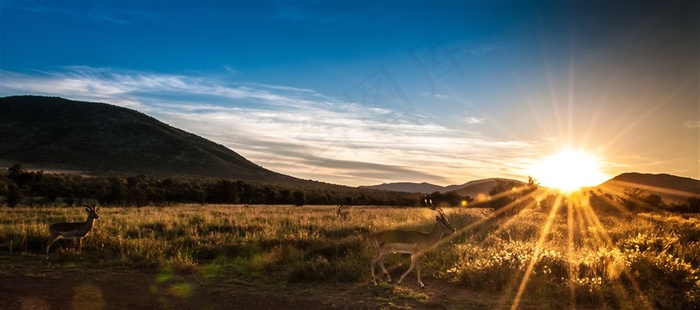 唯美草原日出高清图片