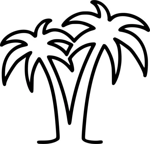 棕榈树 PNG免抠(980x942)