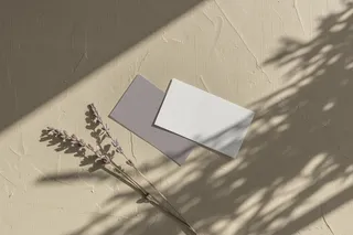 文艺光影正反面名片样机