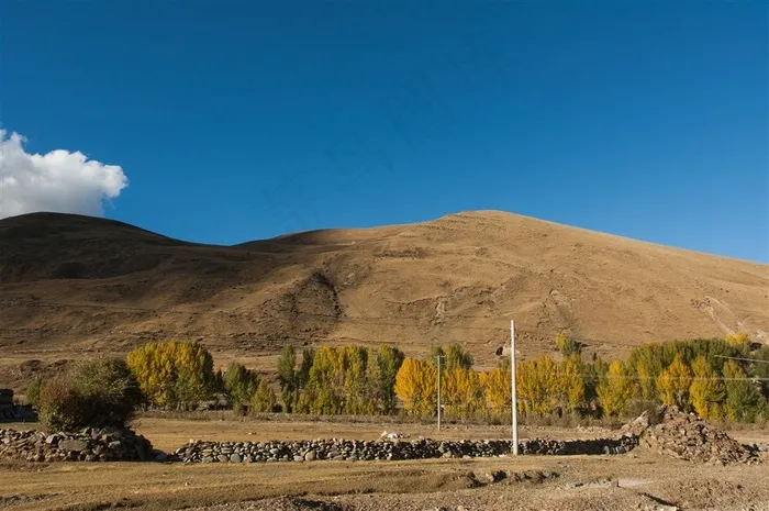 蓝天山脉青杨林秋天风景