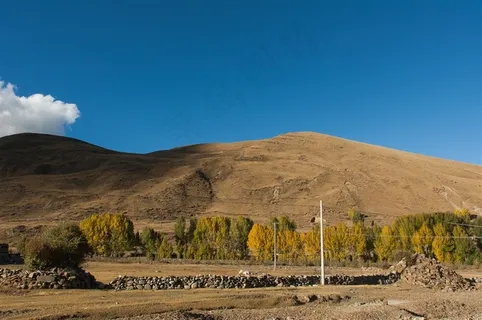 蓝天山脉青杨林秋天风景 蓝天山脉青杨林秋天风景