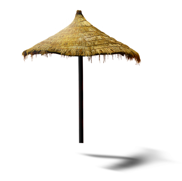 撑伞叶子伞
