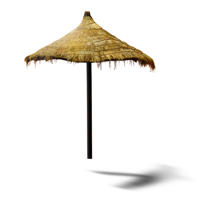撑伞叶子伞
