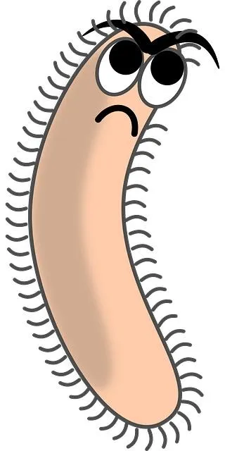 细菌 PNG免抠(320x640)