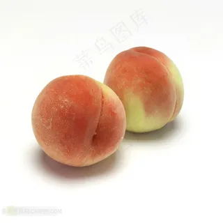 桃子高清摄影