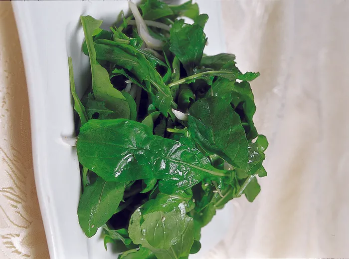 1009LC-0535生炝芝麻菜
