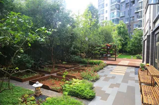 别墅 春天海报 夏天海报 地产 森林 小区海报