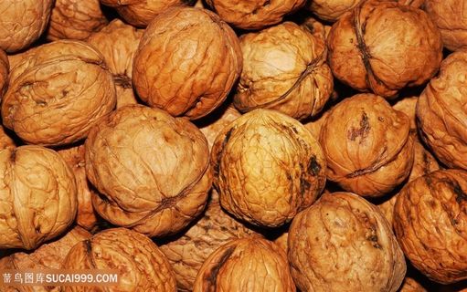 食物素食核桃