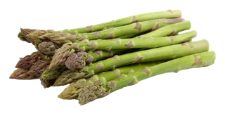 芦笋 (3)超市商品白底图免抠实物摄影png格式图片透明底