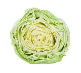 包菜 (4)超市商品白底图免抠实物摄影png格式图片透明底