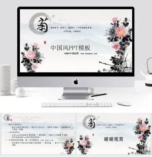 中国菊花风景PPT模板