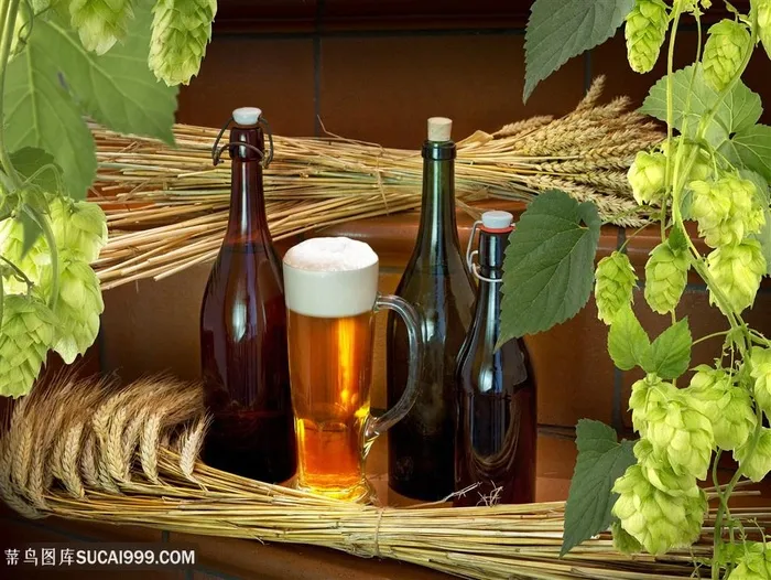 欧洲小镇啤酒酒文化图片