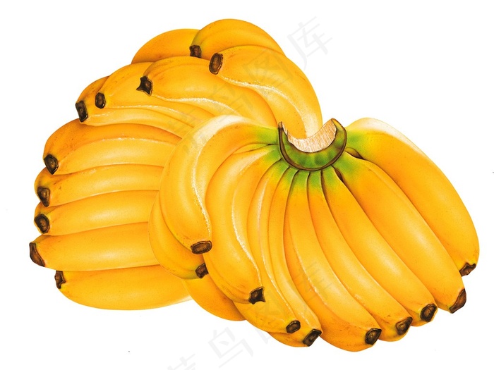 两串黄皮香蕉图片