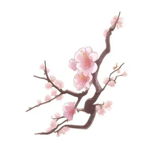 梅花桃花樱花免抠