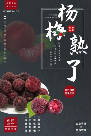 水果海报水果店宣传果汁杨梅宣传杨梅海报