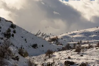冬天自然背景风景