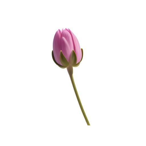 花花苞免抠(2048x2048)