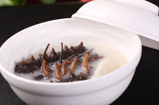 虫草炖活海参 (3)