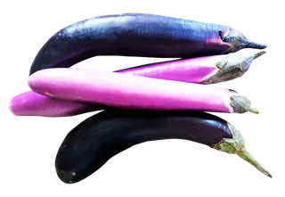茄子长条紫色