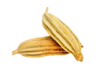 147茴香籽超市商品白底图免抠实物摄影png格式图片透明底