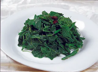 1009LC-0461炝拌龙须菜