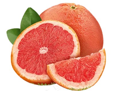 橙子免抠素材 (16)