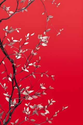 树枝简约红色背景