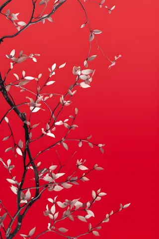 树枝简约红色背景