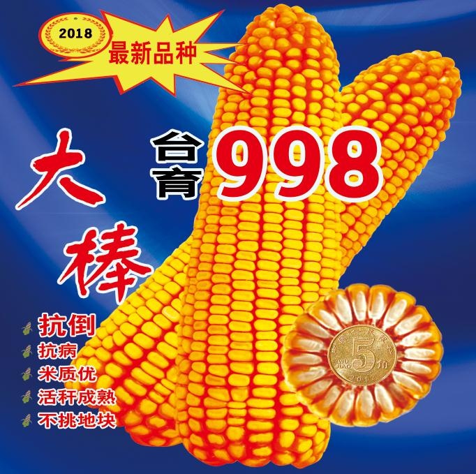 玉米海报 苞米种子psd模版下载