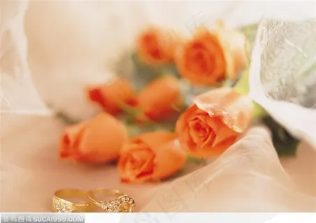 情人节物语-漂亮的粉色玫瑰