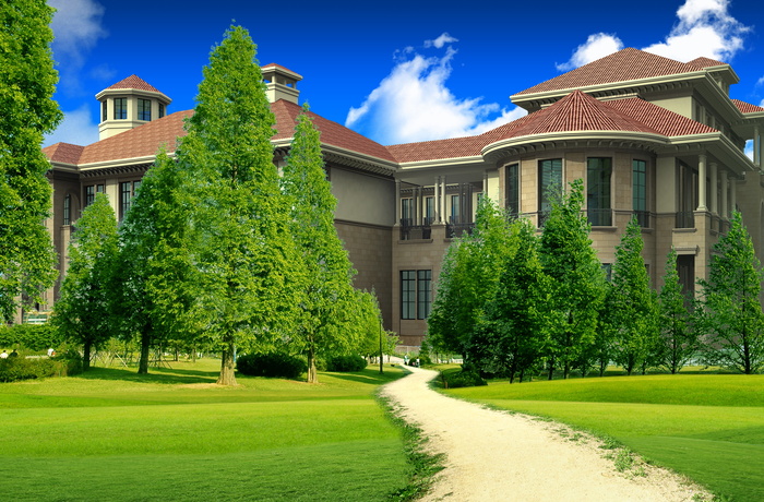 韩式自然背景 (127)