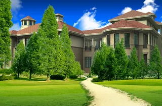 韩式自然背景 (127)