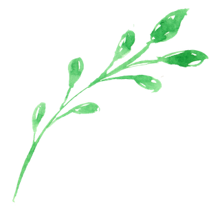 唯美森系手绘水彩花朵 免抠